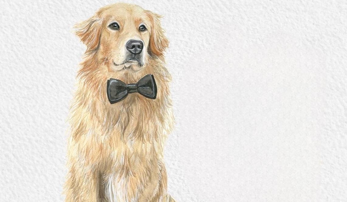 The Wedding Website of Kalena Tavares and David Miller