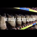 Skateland Fun Center