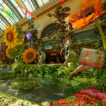 Bellagio Conservatory & Botanical Gardens