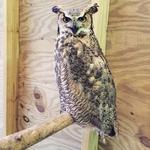 Roaring Brook Nature Center