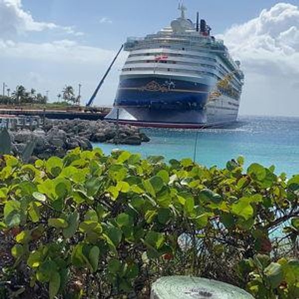 Disney Cruise