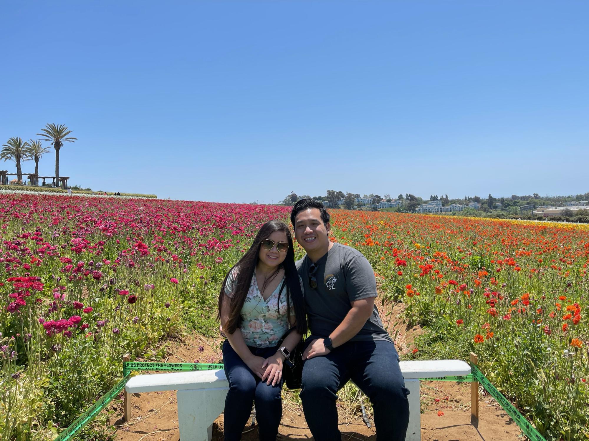 Carlsbad Flowerfield