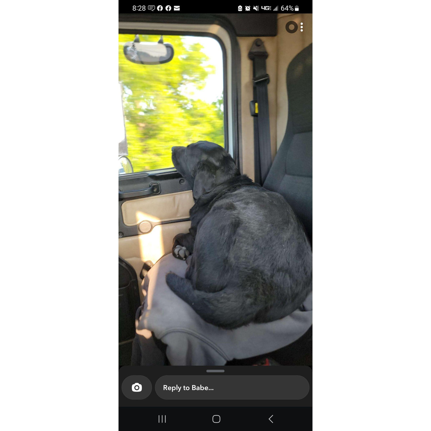 Rides in the truck with Dad