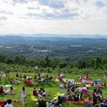 Carter Mountain Orchard and Cidery