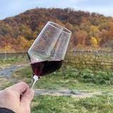Glen Manor Vineyards