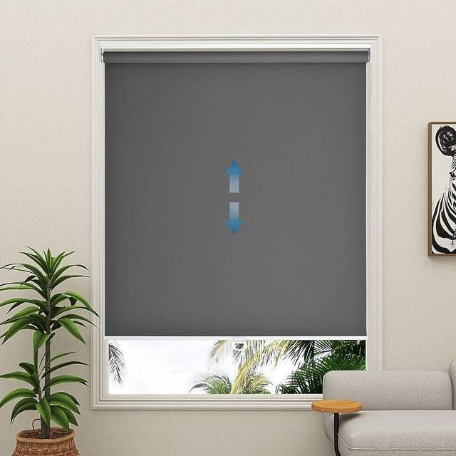 Lululand Window Roller Shades Cordless 100% Blackout(37" W x 72" H, Grey)，with Spring System to Protect Privacy and Maintain Room Temperature.Easy to Install, Suitable for Home, Office