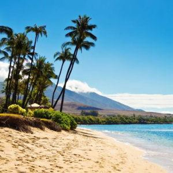 Our Maui Honeymoon Fund