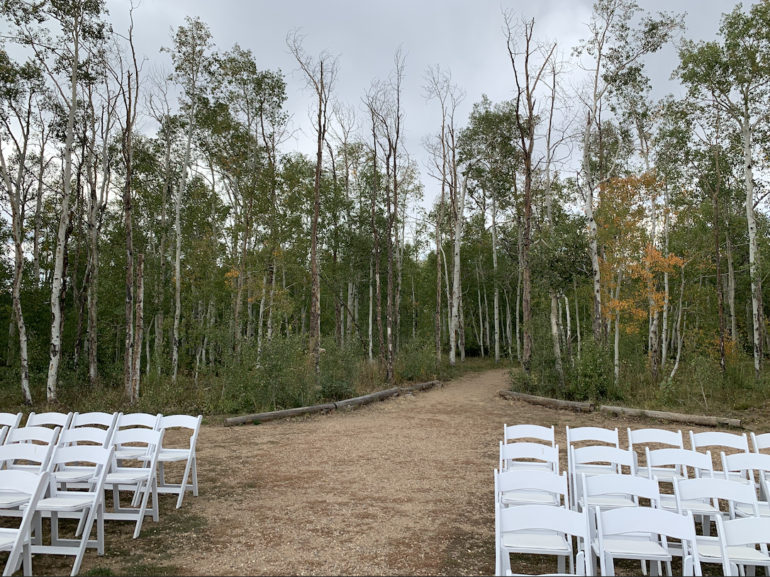 The Wedding Website of rachel bell and mike shanley
