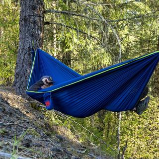 Trunk Tech Double Hammock