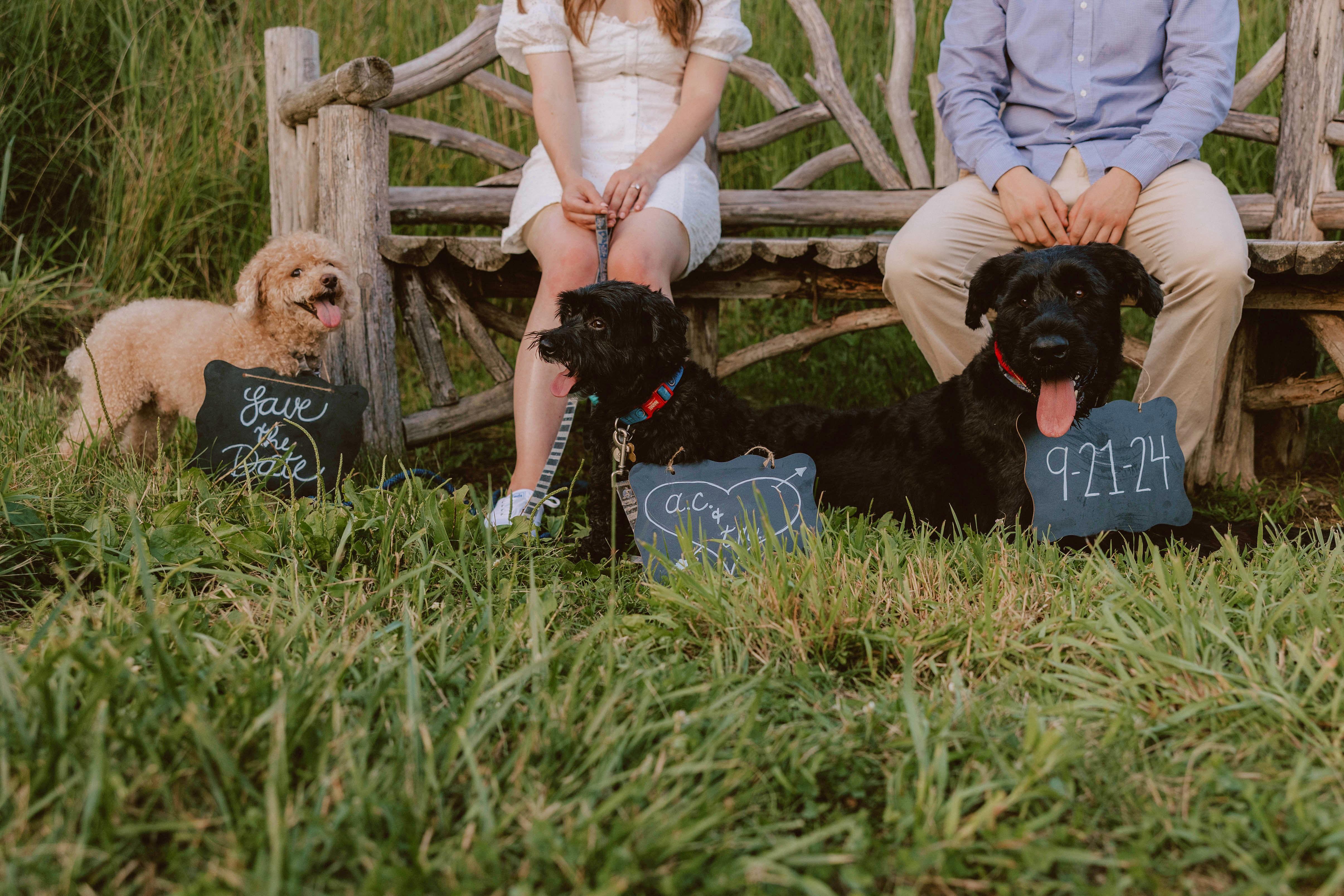 The Wedding Website of Amy Cole and Theodore Mancuso