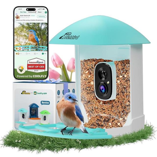 Bird Feeder with Camera, Smart Bird House with Cam for Outside, 2K HD Auto Record Video, AI Identification & Instant Alerts, Solar Powered, Bird Watching Gifts for Family and Birdlovers
