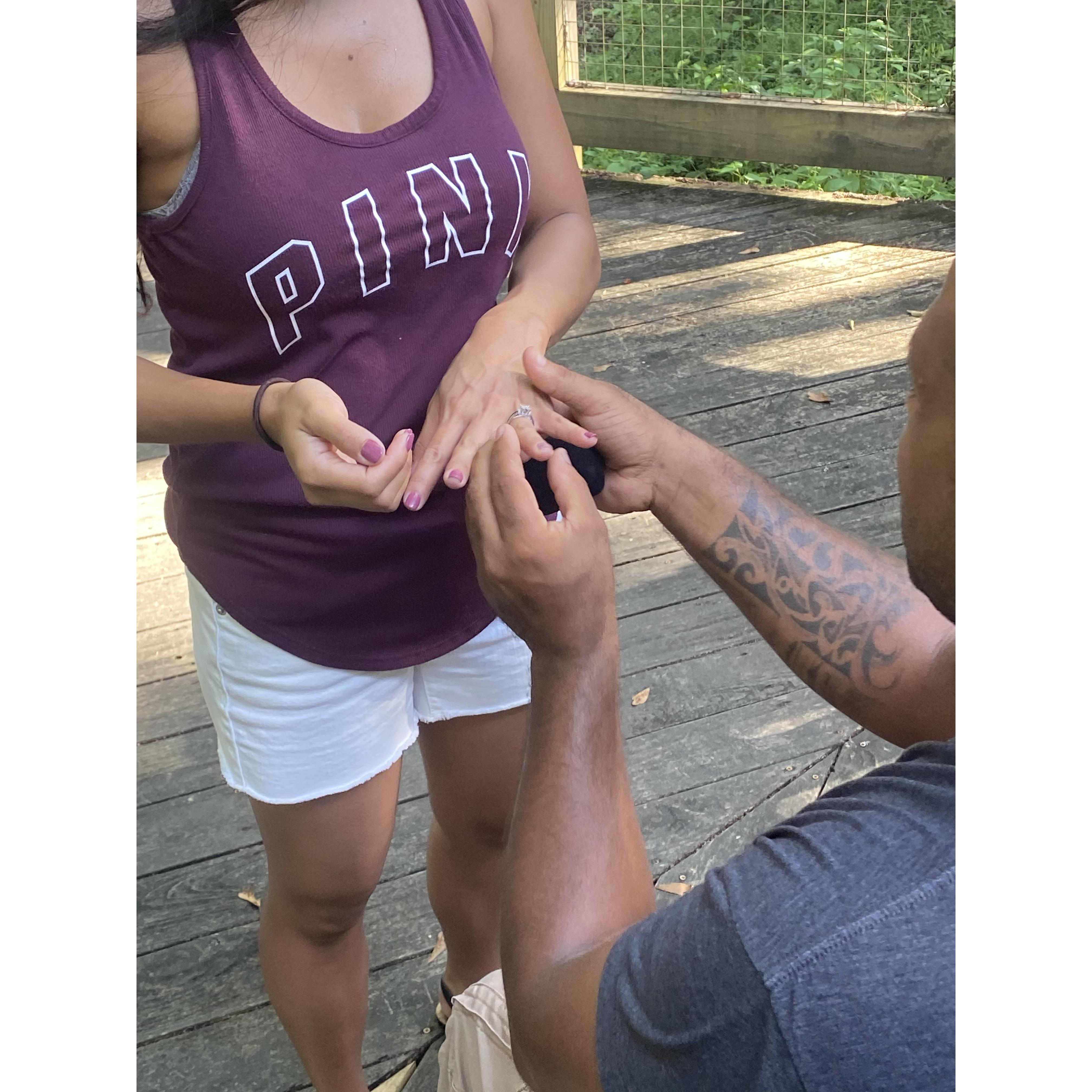 The proposal.  I said “YES!”