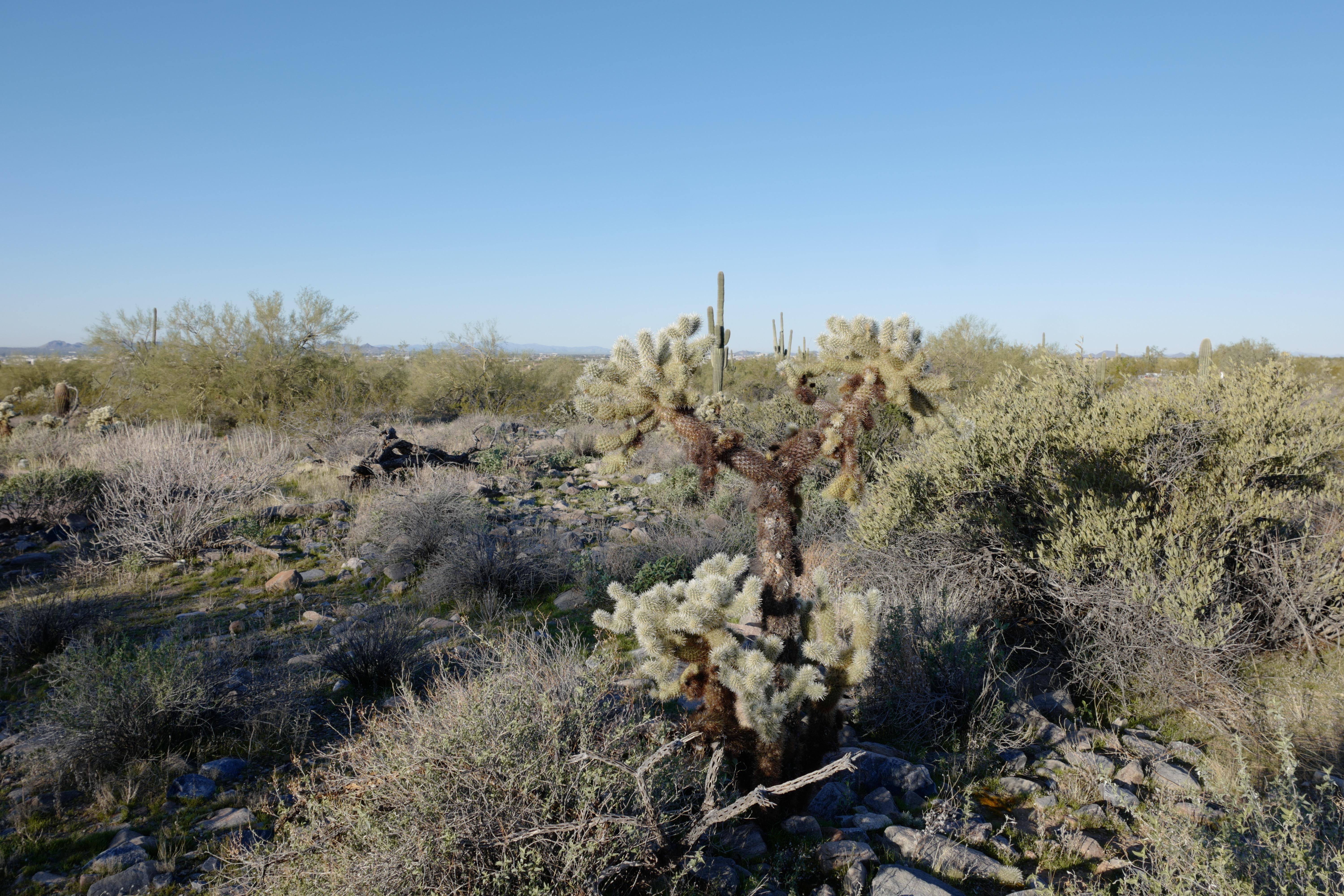 The Wedding Website of Christian Kalos and Megan McIntyre