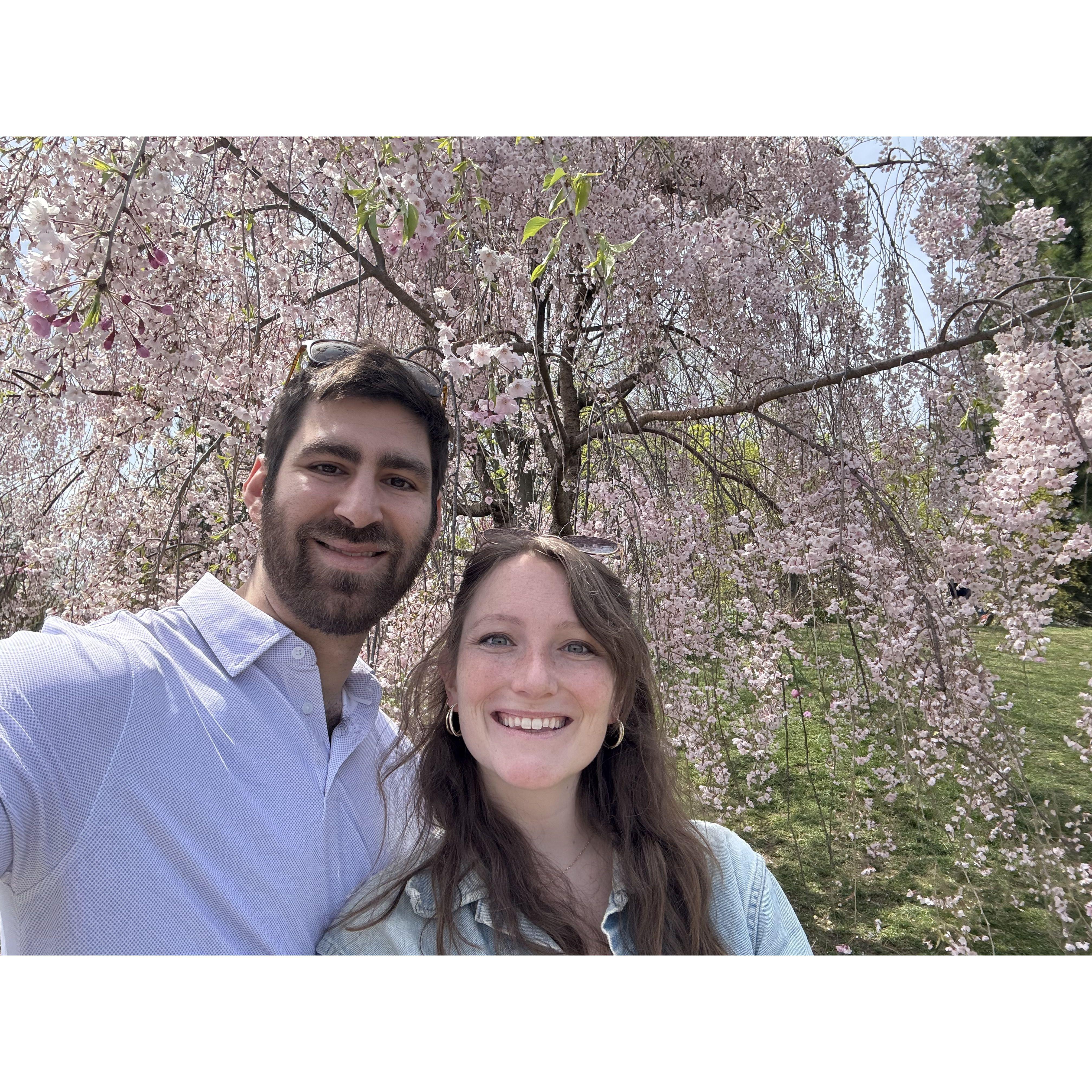 Brooklyn Botanical Gardens