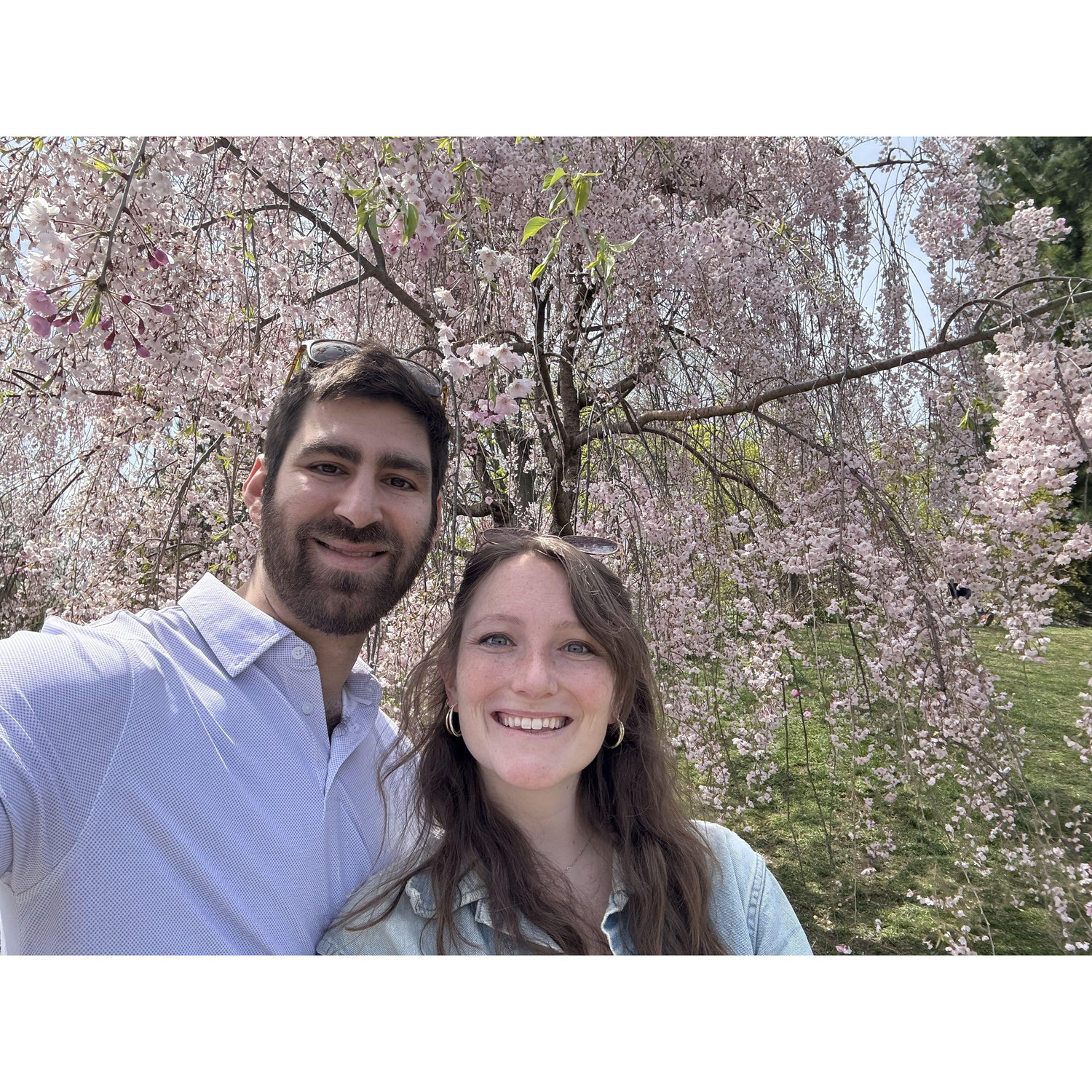 Brooklyn Botanical Gardens