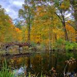 Oak Openings Preserve Metropark