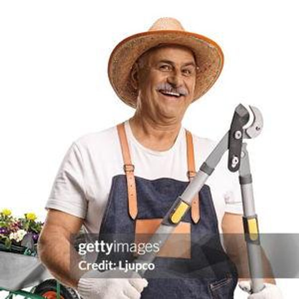 Landscaper Consultation!