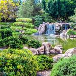 Japanese Friendship Garden