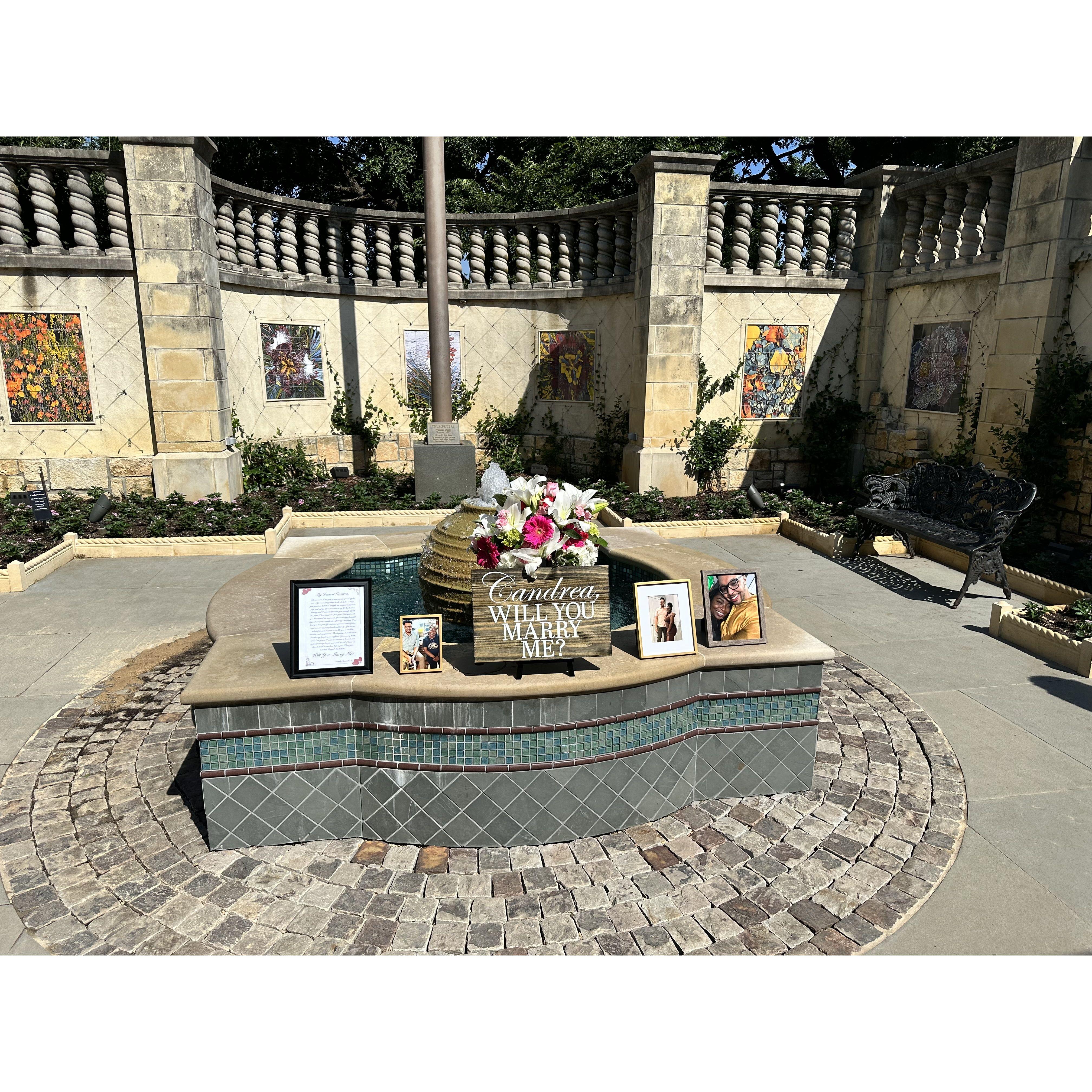 The proposal setup at The Dallas Arboretum.