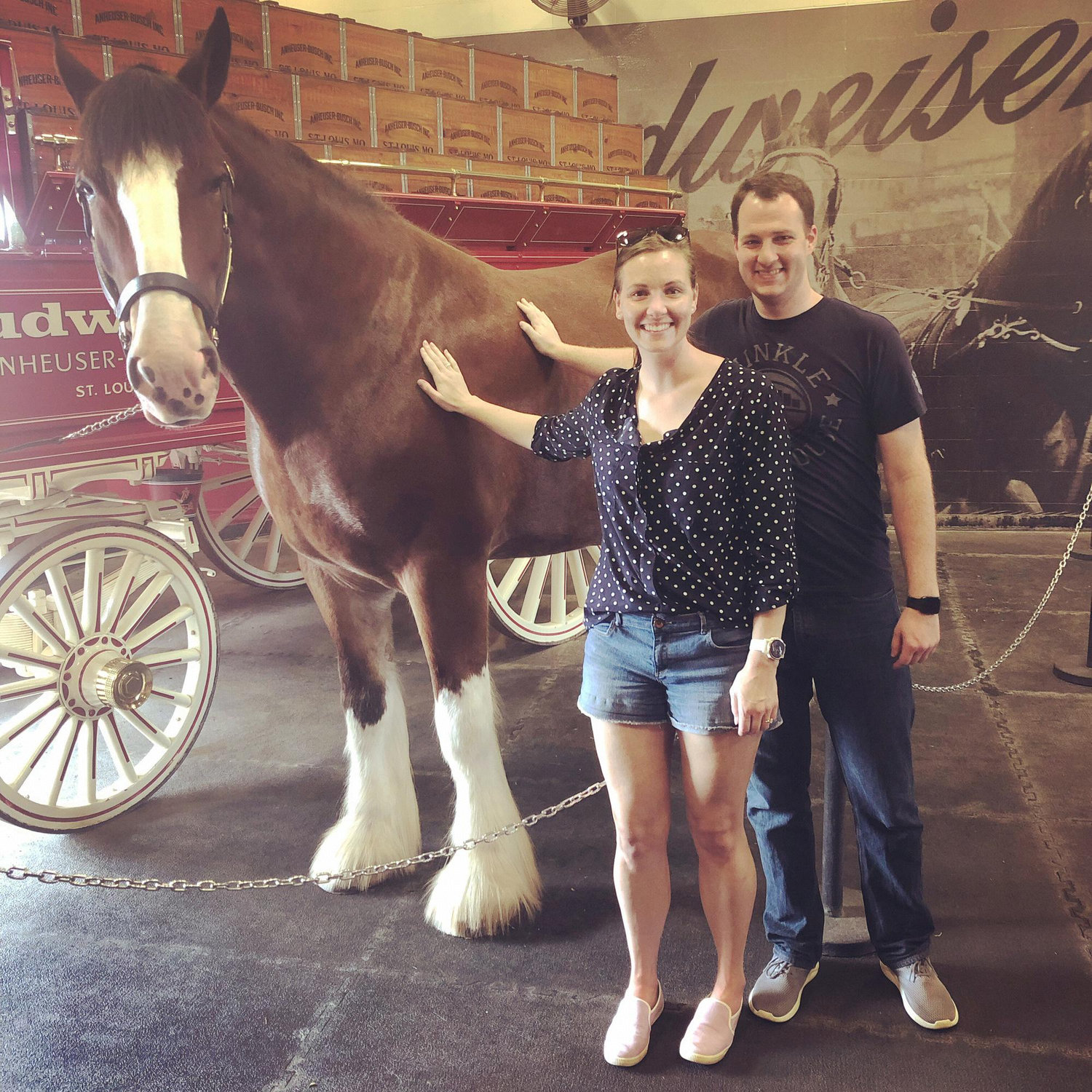 September 2019 - Bryce’s Birthday Weekend enjoying the Budweiser Clydesdale Farm and Hermann, MO