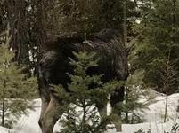 Pend Oreille County Park