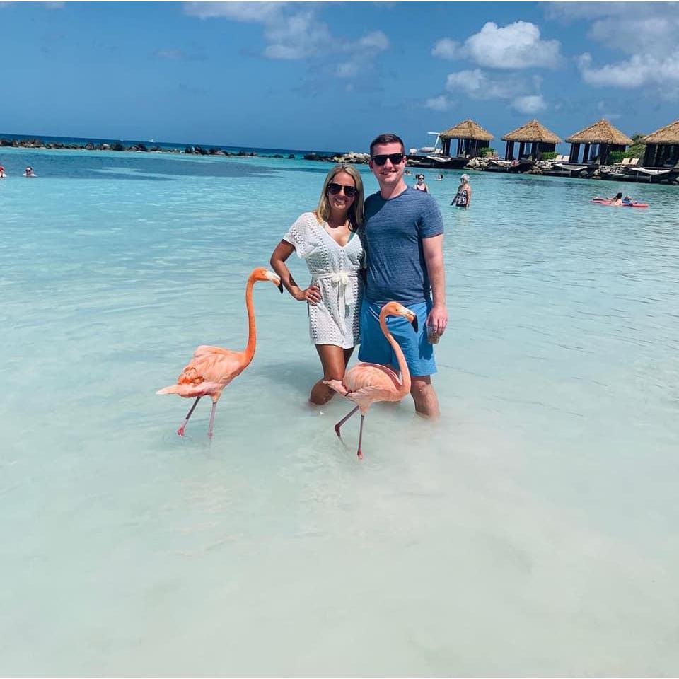 Aruba 2019