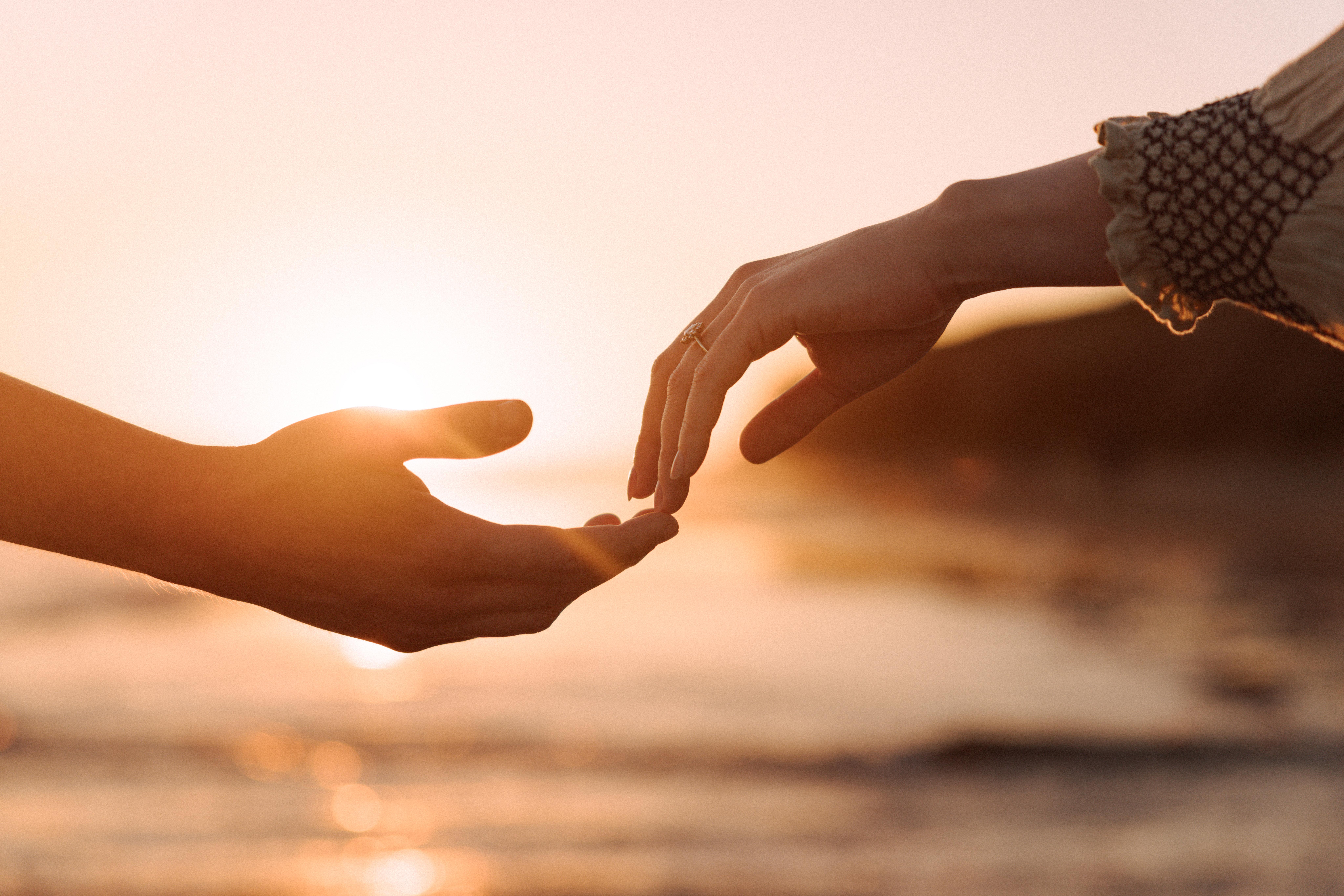 The Wedding Website of Julie Narasaki and Clayton Lemons