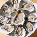 The Frisky Oyster
