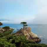 17 Mile Drive