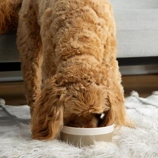 Dipper Bowl
