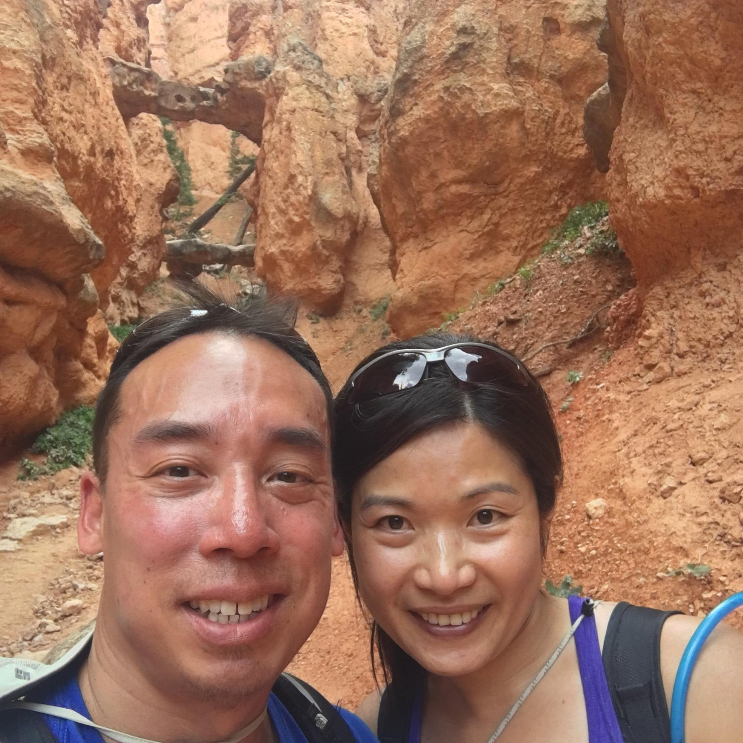 Zions National Park 2017