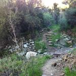 Cozy Dell Trailhead Hiking Trail