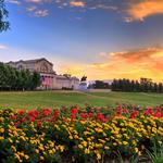 Forest Park
