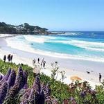 Carmel Beach