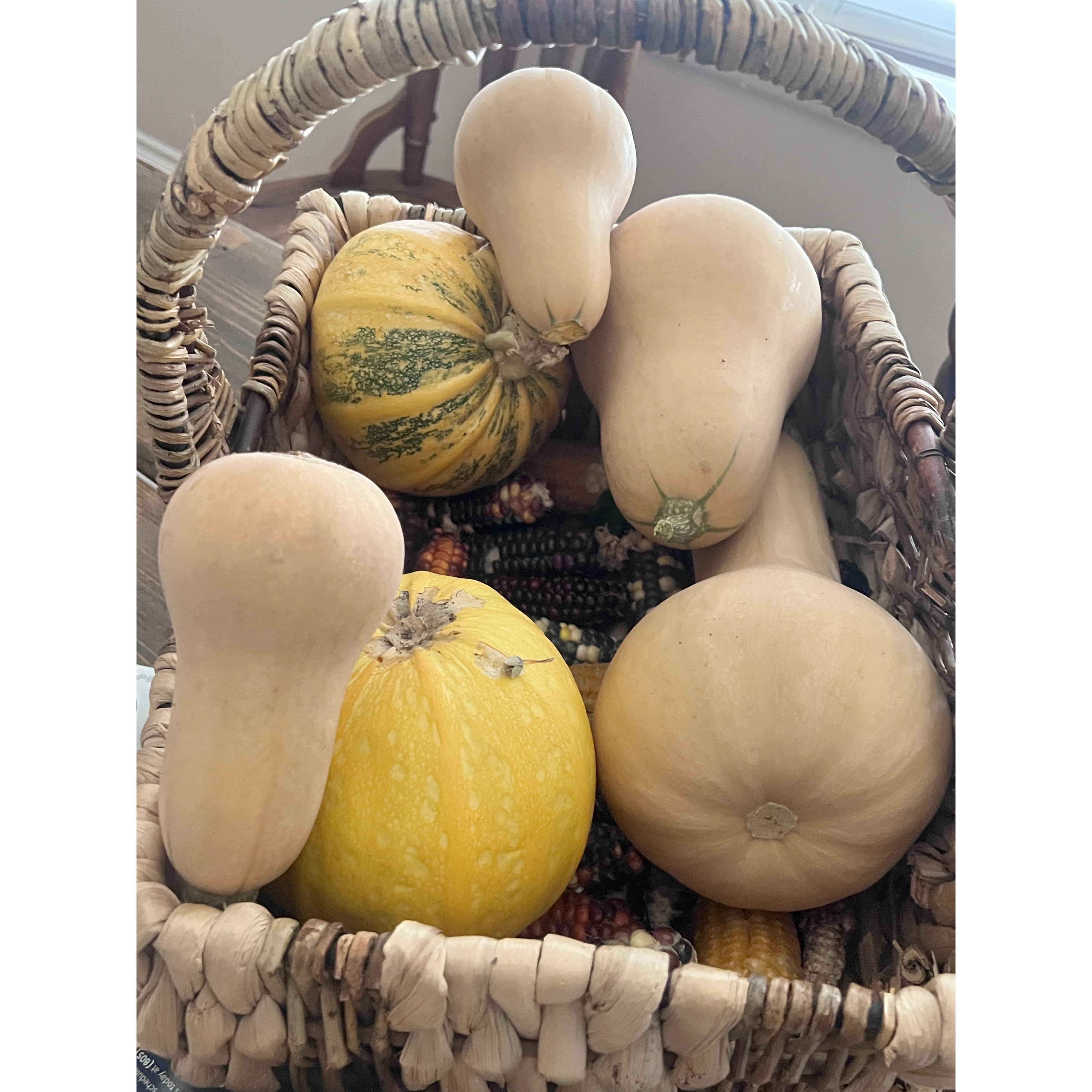 Autumn vegetables!