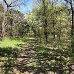 Cedar Ridge Preserve - Hiking