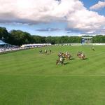 Newport Polo