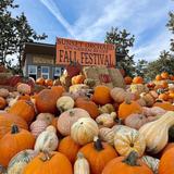 Green Bluff Farms