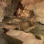 Natural Bridge Caverns Road