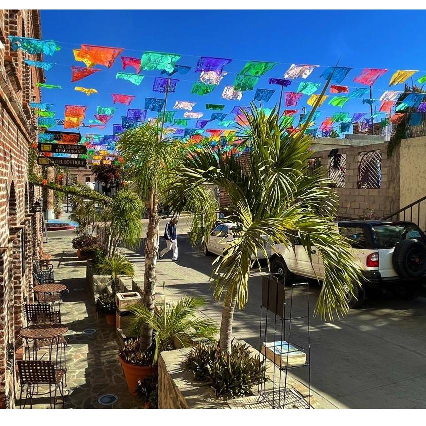 The town of Todos Santos