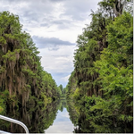 Okefenokee National Wildlife Refuge