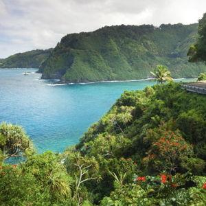 Honeymoon to Hawaii