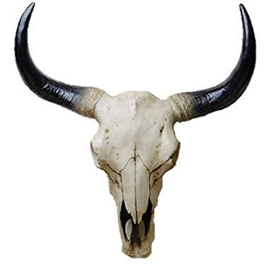 Large 17" Southwestern Cow Steer Skull Wall Hanging