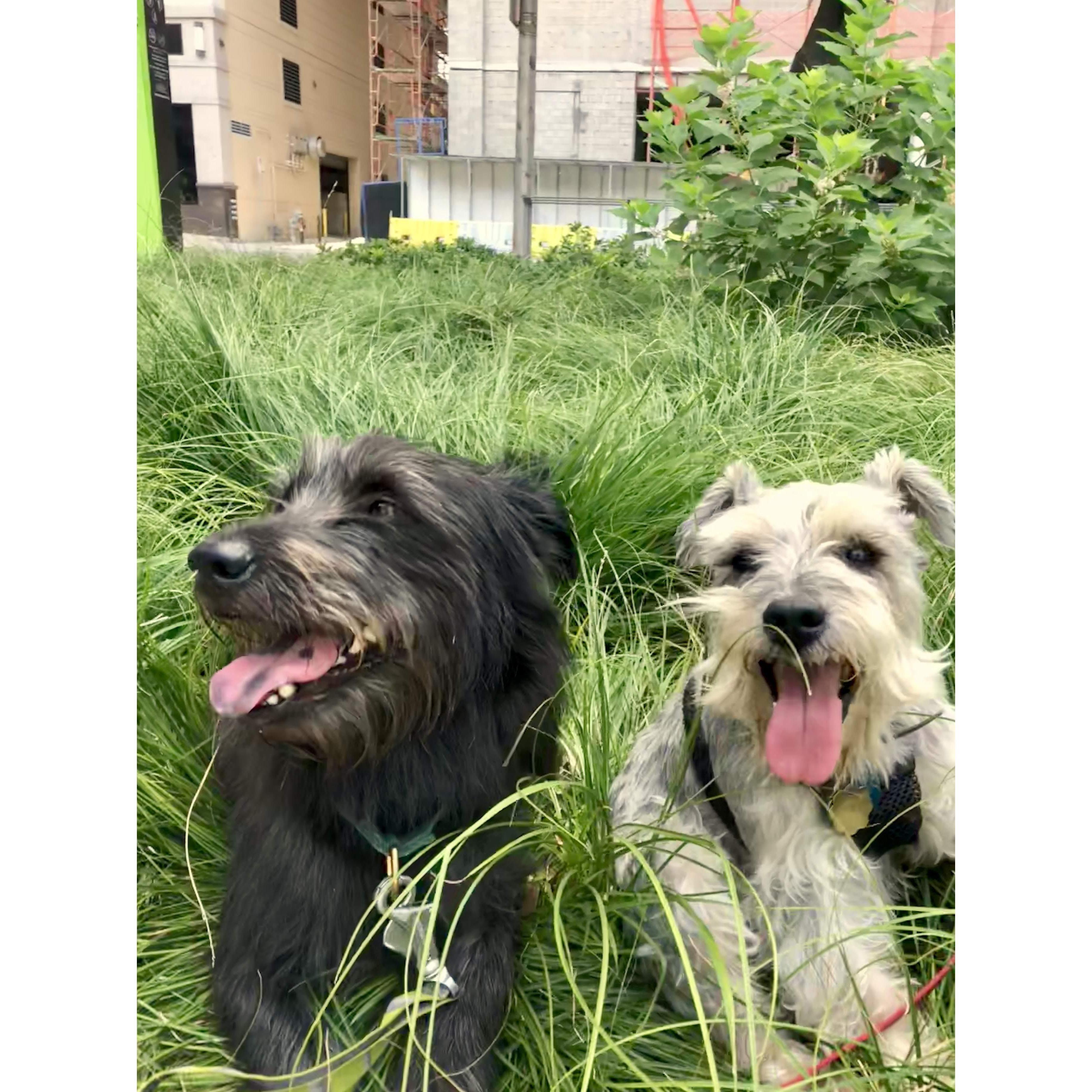 The Best Boys.
