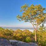 Turkey Mountain