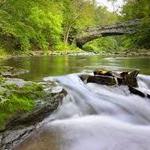 Wissahickon Valley Park