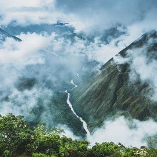 Cloud Forest Retreat at Las Terrazas de Dana (2 Nights)