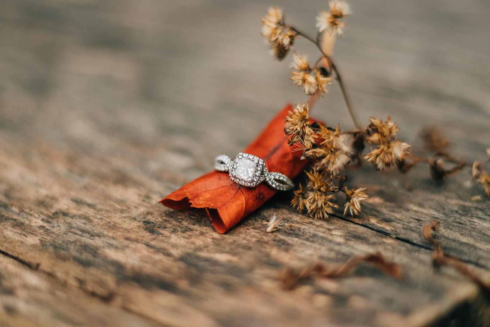 The Wedding Website of Alyssa Ebersole and Benjamin Stauffer