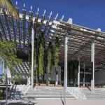 Pérez Art Museum Miami