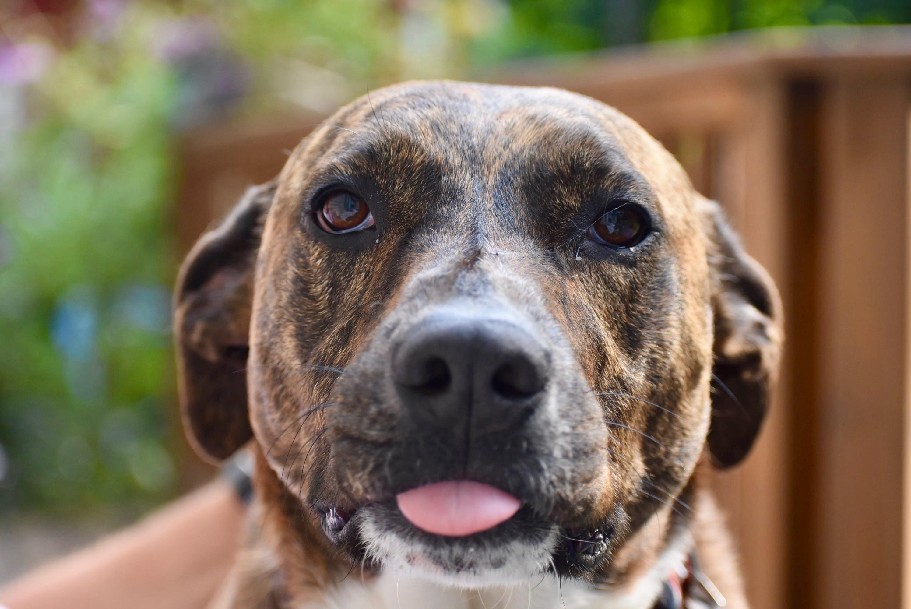 The Wedding Website of Katy Gundy and Jack Steinharter